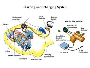 Picture of components in the starting and charging system of a car